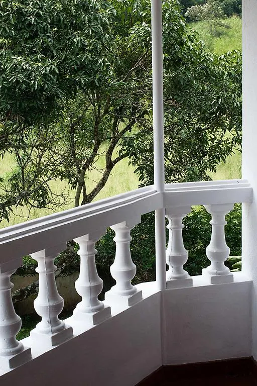 Guest house Hanthana Jungle View Holiday Home Kandy